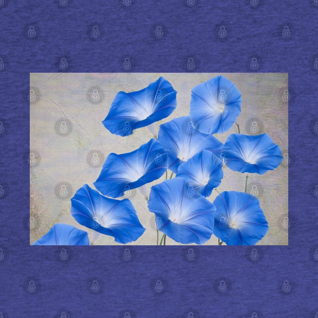 Blue Morning Glory by lauradyoung